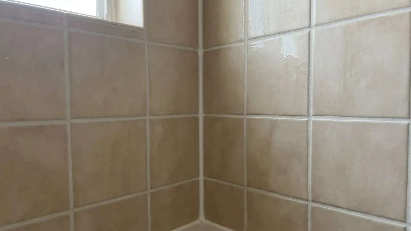 After: Shower grout renewed | Music City Grout After: a tiled shower wall with clean, even light grout lines and fresh white caulk
