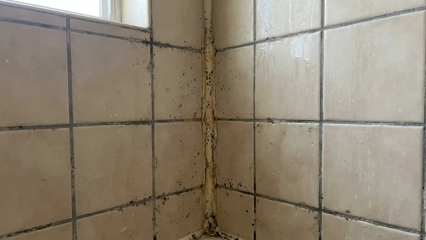 Before: a tiled shower wall with dark grout lines with mildew spots and tired caulk at the corner